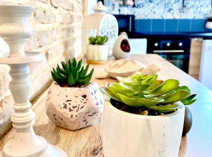 Elegante Maison Au Bord Du Bassin Arcachon *